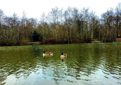 Belhus Woods Country Park