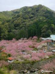 一心寺