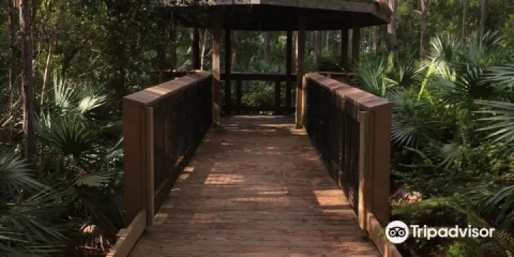 Helene Klein Pineland Preserve