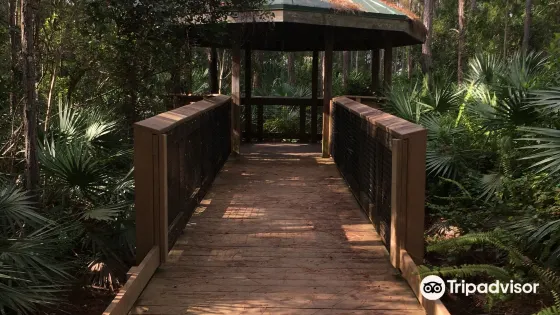 Helene Klein Pineland Preserve