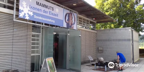 Urweltmuseum Geoskop