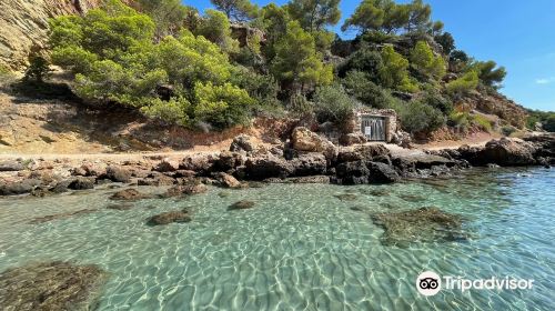 Cala Llenya Market