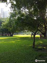 Chong Lun Park