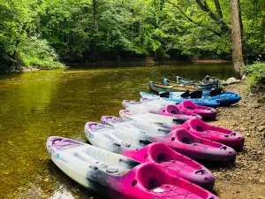 Skip's Huron River Canoe Livery