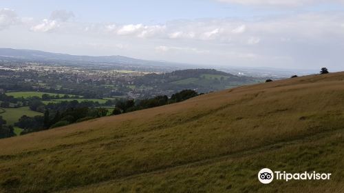 Selsley Common