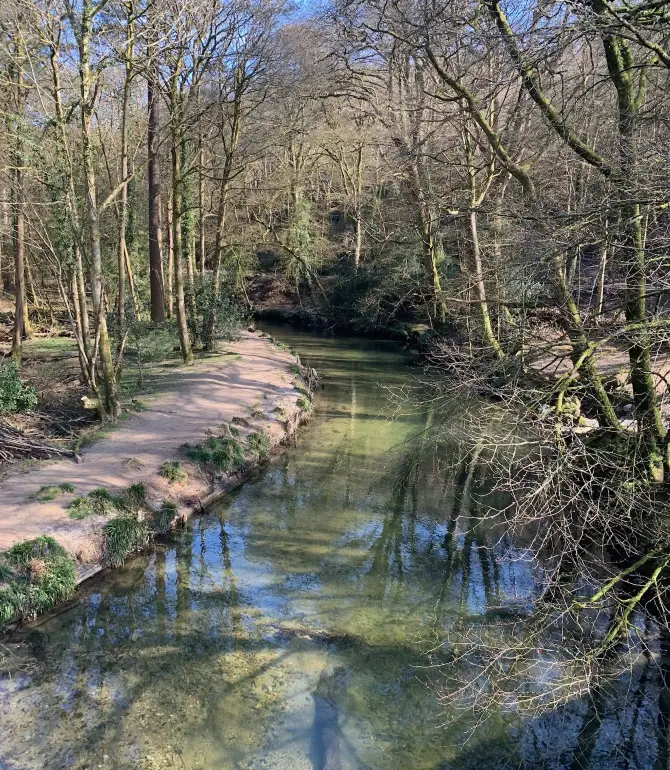 Shaugh Prior