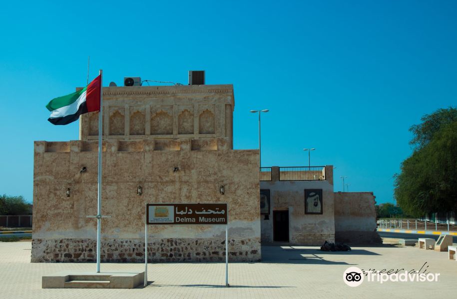 Abu Dhabi to Delma Island Flights