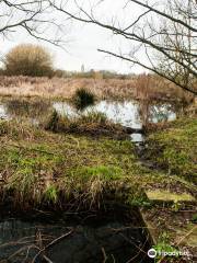 South Norwood Country Park