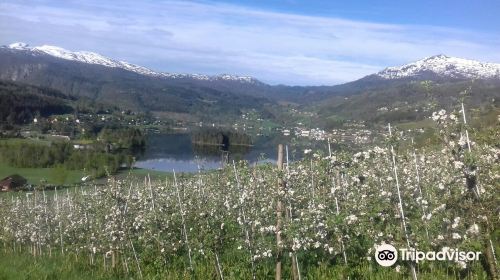 Hardanger Saft og Siderfabrikk