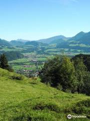 Erlebnis Berg Hocheck das Freizeitgebiet mit 4er Sesselbahn, Sommerrodelbahn, Flying Fox, 360 Grad Rutsche und Wandergebiet