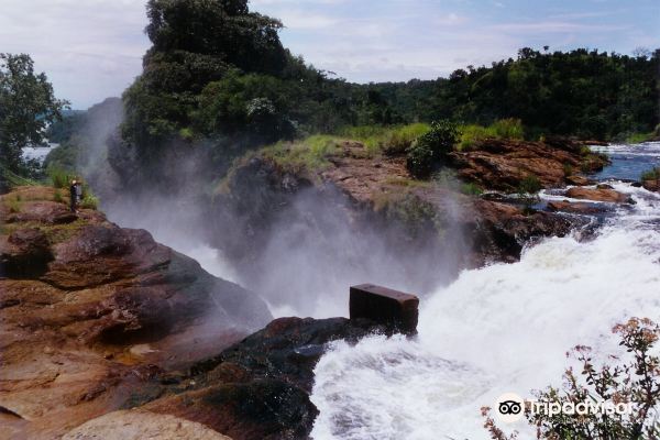 Pakuba to Kasese flight