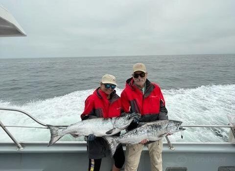 Westport Charters