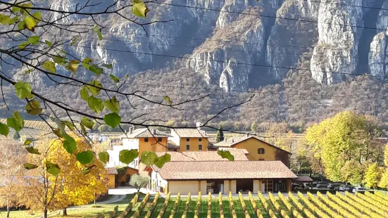 Tenuta San Leonardo