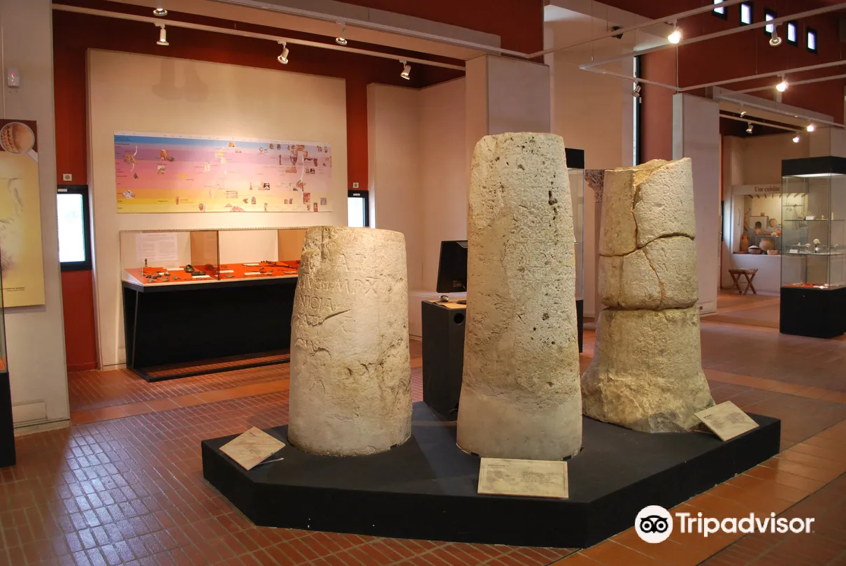 5_Musee Archeologique de Nice-Cimiez
