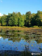 Reinstein Woods Nature Preserve