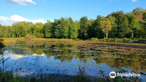 Reinstein Woods Nature Preserve