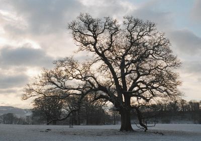 Dinefwr