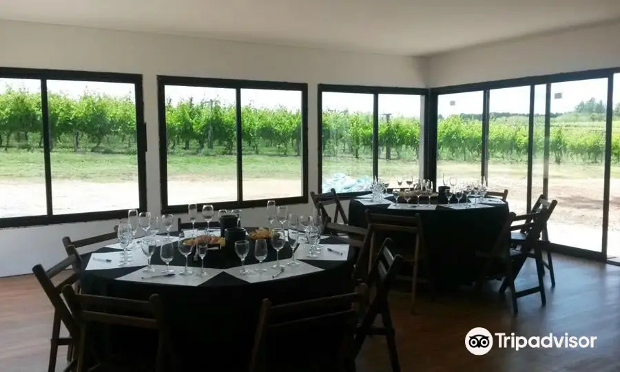Pizzorno winery (Pizzorno Family Estates)
