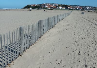 Plage de l'Uhabia