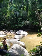 Burmese Pool