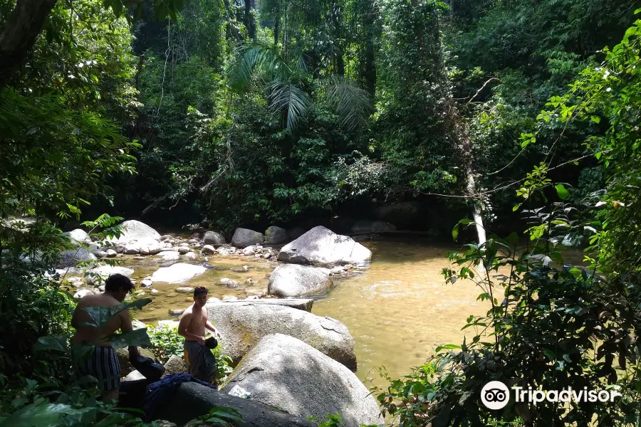 Burmese Pool