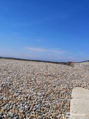 Rye Harbour Nature Reserve