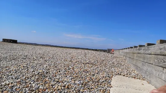 Rye Harbour Nature Reserve