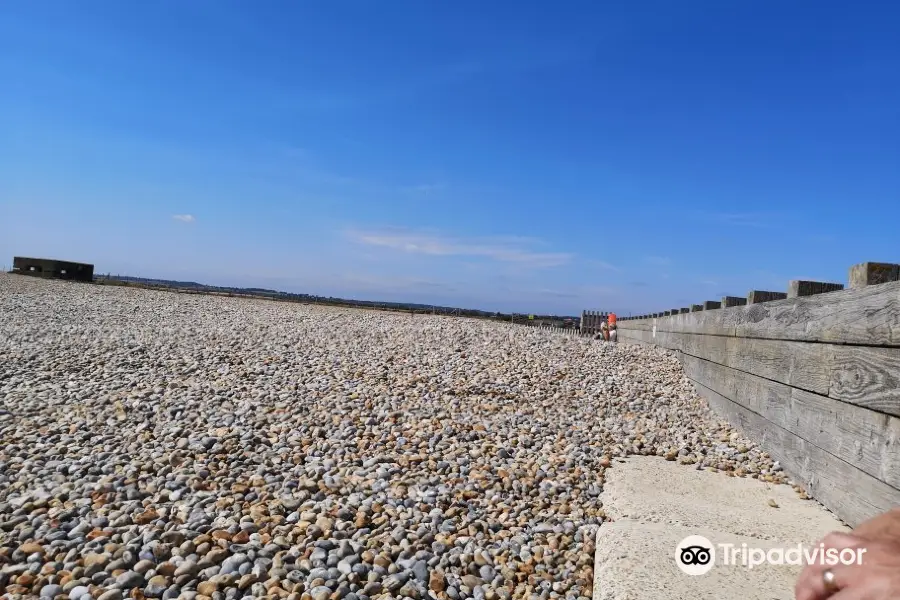 Rye Harbour Nature Reserve