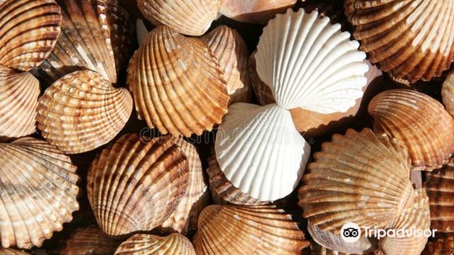 Aquarium of Faliraki (AquaWorld)