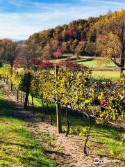 Hightower Creek Vineyards