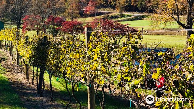 Hightower Creek Vineyards