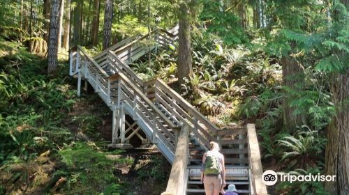 Elk Falls Suspension Bridge