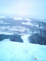 Shintokuyama Ski Area