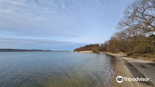 Lake Żarnowiec