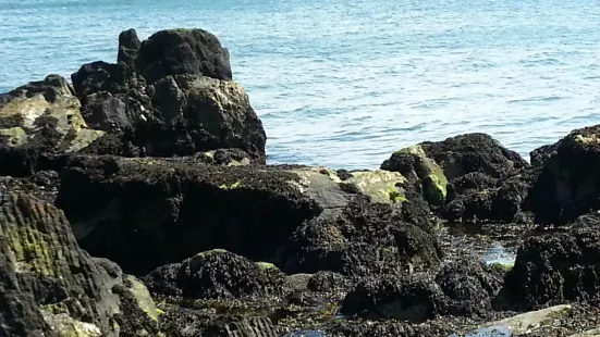 Moville Shore Path Walk, Inishowen