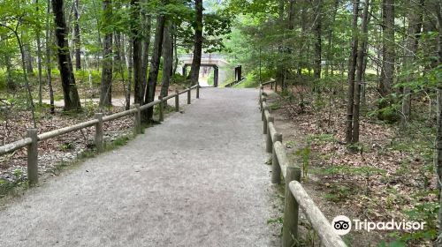 Ferry Beach State Park