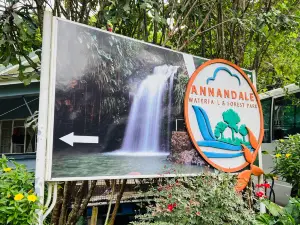 Annandale Waterfall & Forest Park
