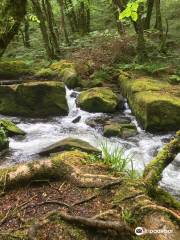 Golitha Falls