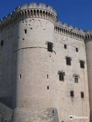 塔拉斯孔城堡
