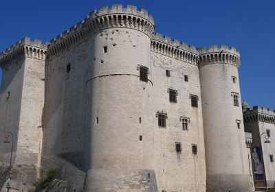 Chateau de Tarascon