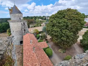 Château d'Apremont