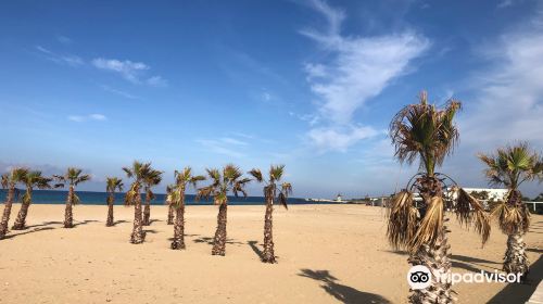 Spiaggia di San Giuliano