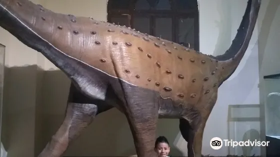 Museo de Historia Natural