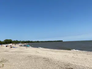 Gimli Beach