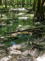 Bellamy Bridge Heritage Trail