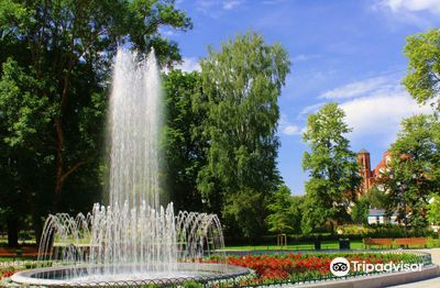 Bernardine Garden