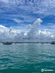 Crab Island Jimmy's Charters - Pontoon Rentals