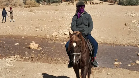 Morocco Horse Back