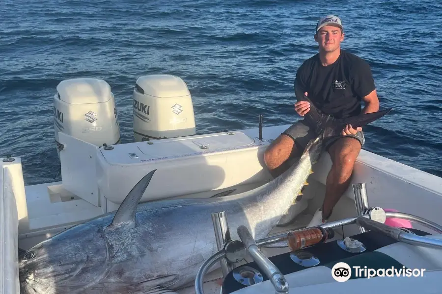 Shark Shark Tuna Fishing Charters