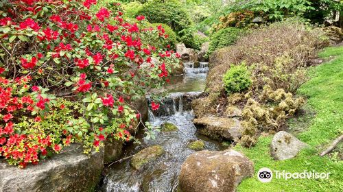 The Japanese Gardens